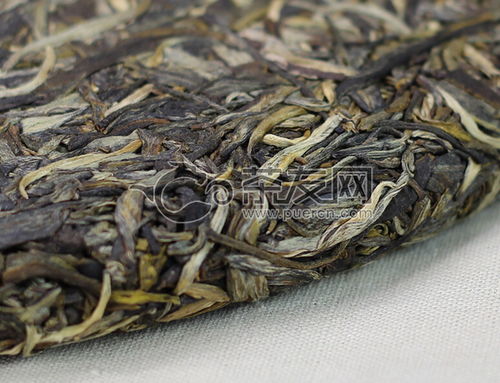 2015年老同志食品安全年會(huì)禮品茶生茶1000克評(píng)測(cè) 品質(zhì)、價(jià)格與茶友反饋