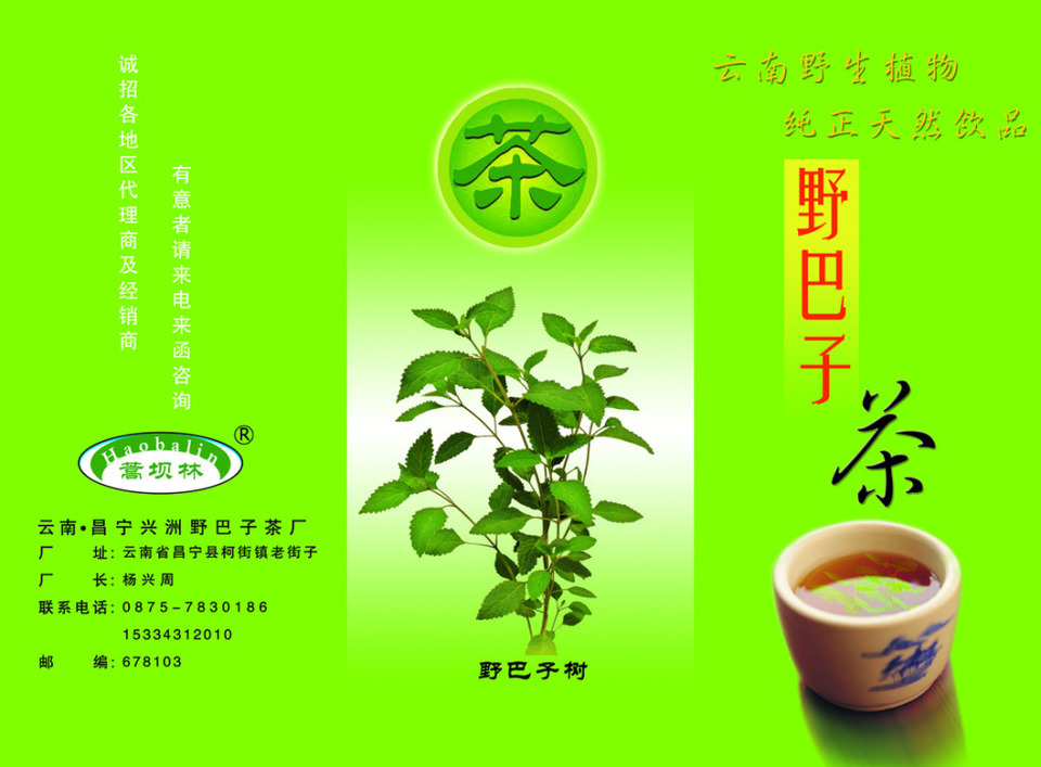 茶葉宣傳單PSD模板下載指南 讓您的茶葉品牌脫穎而出