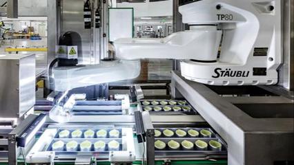 科技賦能傳統，匠心融合智造——央視網深度解碼小罐茶黃山智能工廠